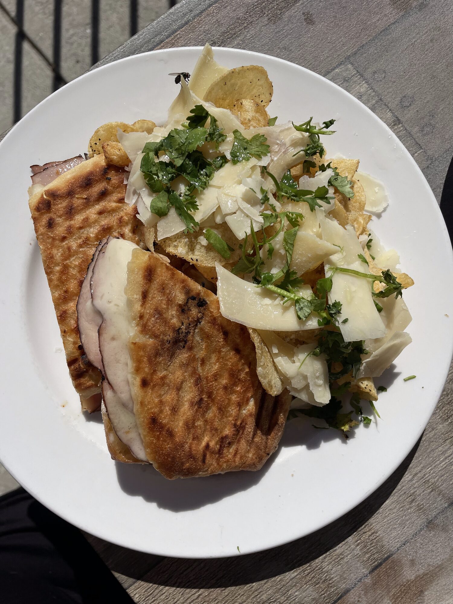 A pressed panini cut in half and topped with shaved parmesan and fresh herbs on a white plate.
