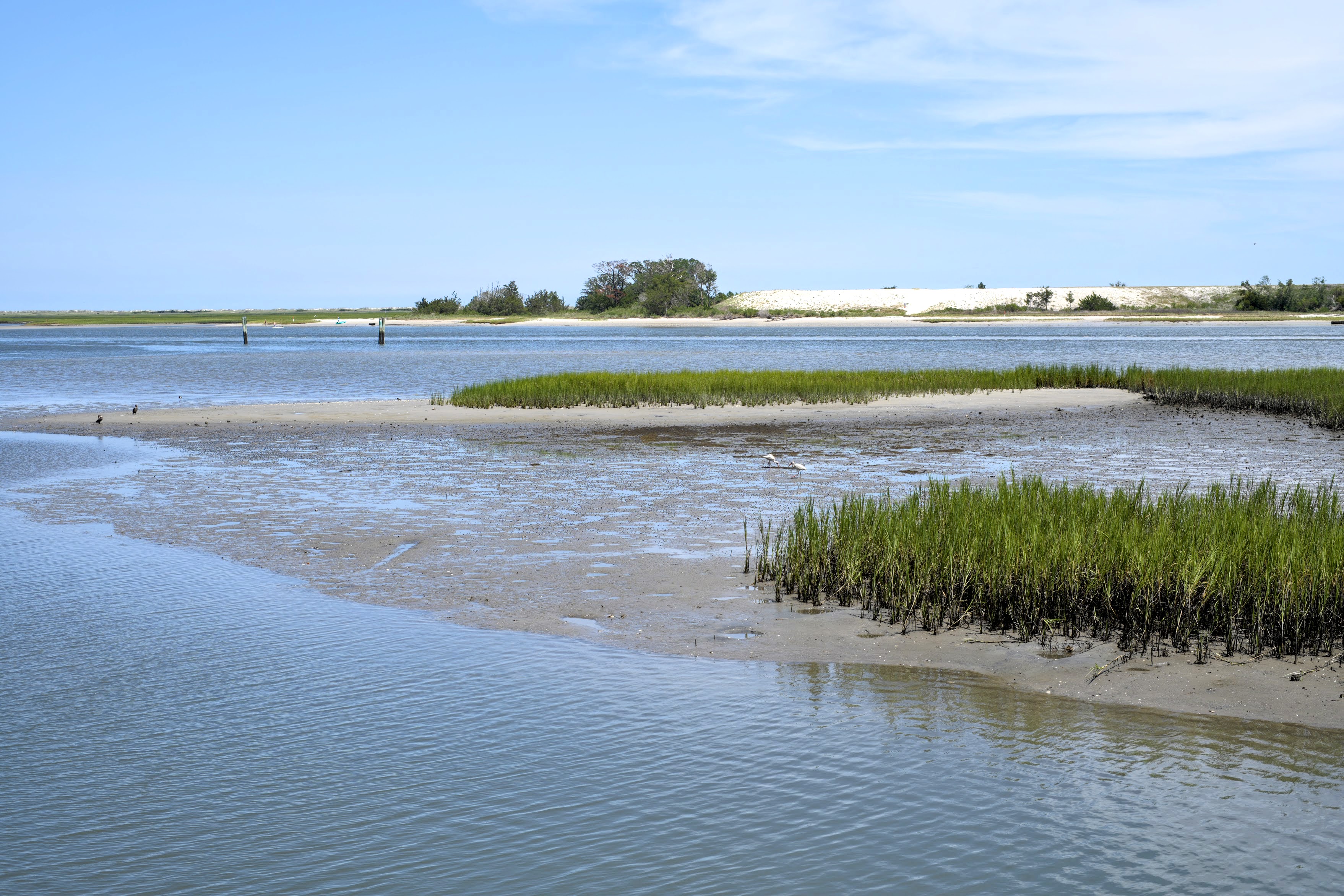 Tidal salt marsh with a sandbar, grasses, and distant beach houses near Wrightsville Beach, NC.