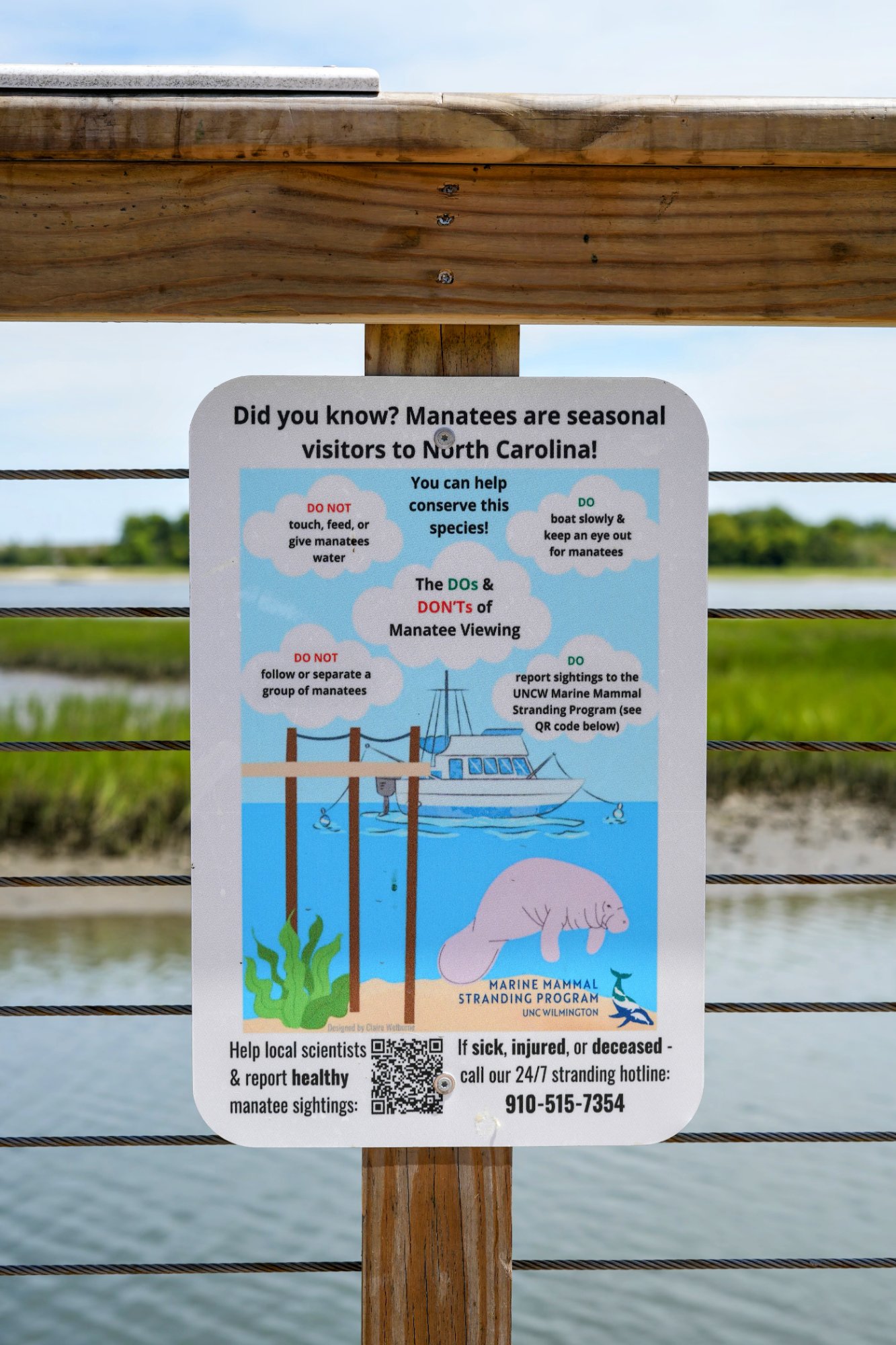Educational sign about manatees as seasonal visitors to North Carolina posted along a marsh boardwalk railing.
