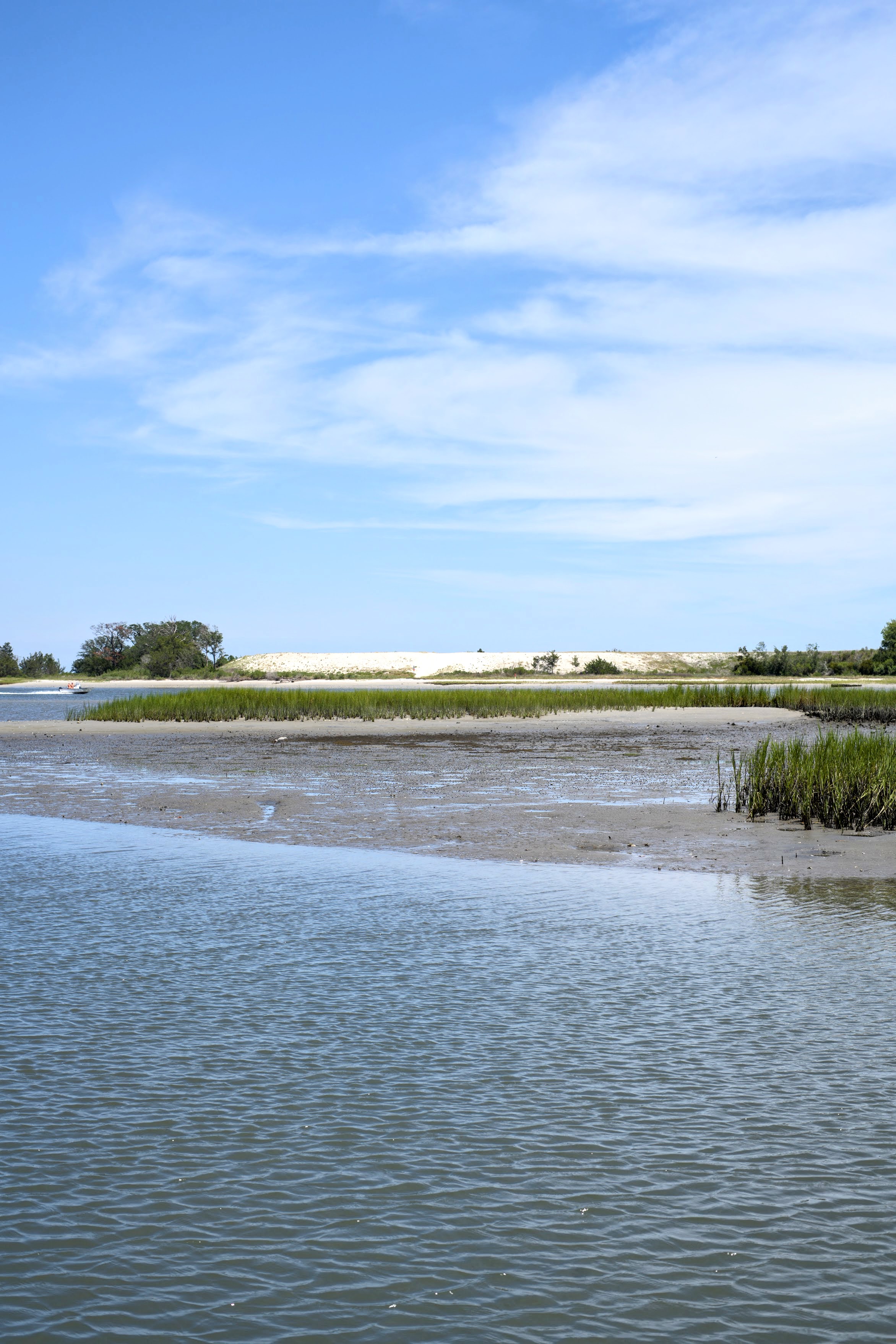 Salt marsh and tidal flats near Wrightsville Beach, NC