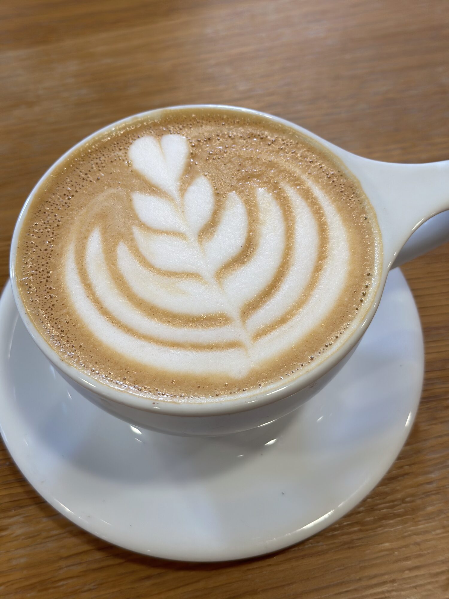 A cappuccino with a leaf-pattern rosetta in the foam, served in a white cup and saucer on a light wood table at Casa Blanca Coffee Roasters.