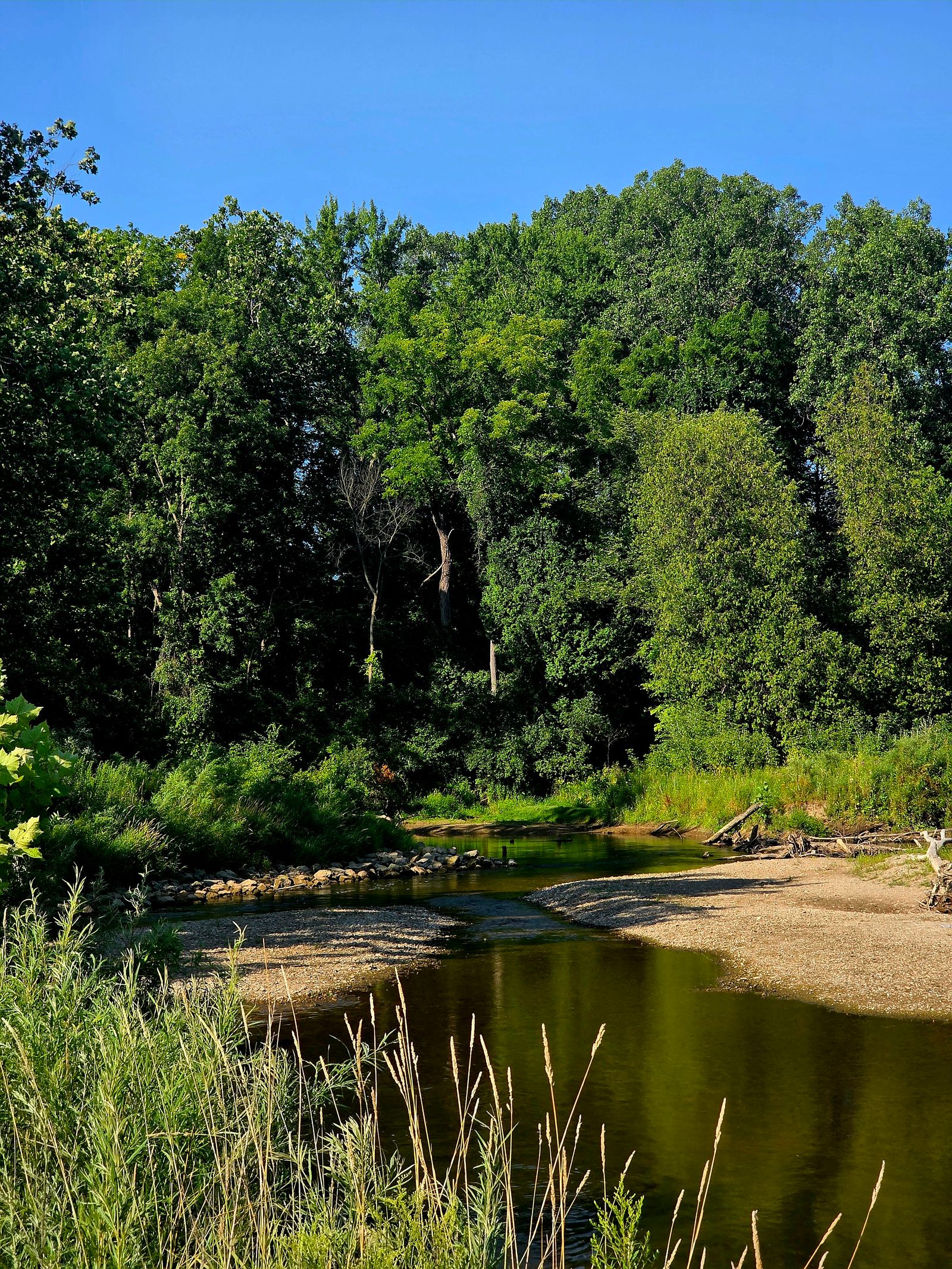 River flowing downstream